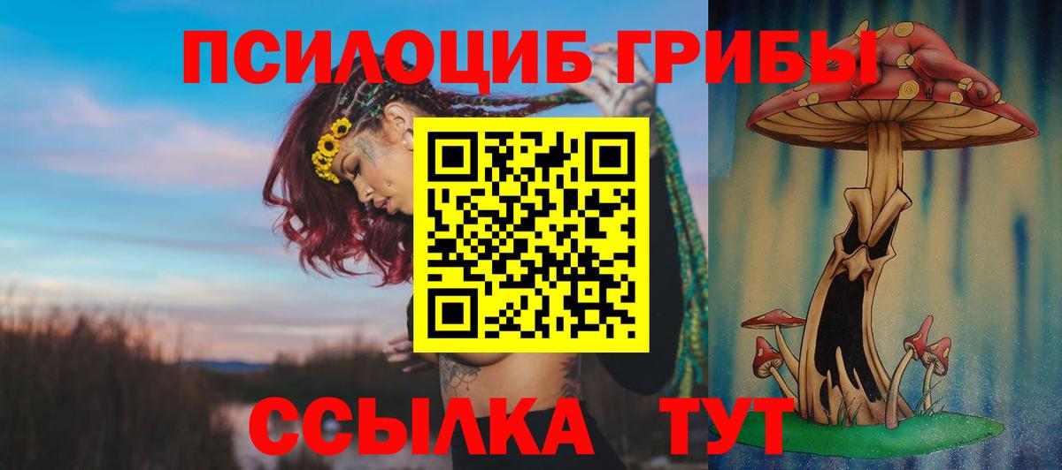 Галлюциногенные грибы Magic Shrooms Симферополь